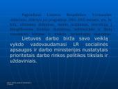 Lietuvos Respublikos užimtumo didinimo programa 3 puslapis