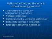 Lietuvos Respublikos užimtumo didinimo programa 5 puslapis