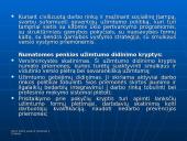 Lietuvos Respublikos užimtumo didinimo programa 6 puslapis