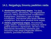 Neįgaliųjų socialinė integracija 3 puslapis