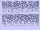 Nesantuokinių gimimų fenomenas Baltijos šalyse 11 puslapis