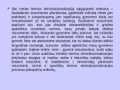 Nesantuokinių gimimų fenomenas Baltijos šalyse 14 puslapis