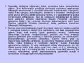 Nesantuokinių gimimų fenomenas Baltijos šalyse 15 puslapis