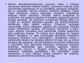 Nesantuokinių gimimų fenomenas Baltijos šalyse 17 puslapis