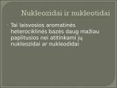 Nukleozidai ir nukleotidai 2 puslapis