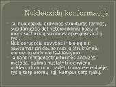Nukleozidai ir nukleotidai 12 puslapis