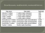 Nukleozidai ir nukleotidai 15 puslapis