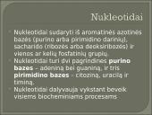 Nukleozidai ir nukleotidai 3 puslapis