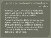 Nukleozidai ir nukleotidai 4 puslapis