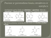 Nukleozidai ir nukleotidai 6 puslapis