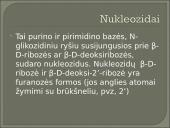 Nukleozidai ir nukleotidai 7 puslapis