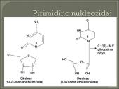 Nukleozidai ir nukleotidai 8 puslapis