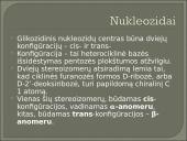 Nukleozidai ir nukleotidai 9 puslapis