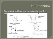 Nukleozidai ir nukleotidai 10 puslapis