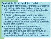 Nuosavybės formos 12 puslapis