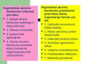 Nuosavybės formos 15 puslapis