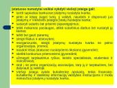 Nuosavybės formos 16 puslapis