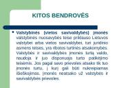 Nuosavybės formos 18 puslapis