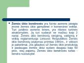 Nuosavybės formos 19 puslapis
