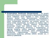 Nuosavybės formos 20 puslapis