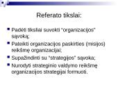Organizacijos paskirtis ir strategija 2 puslapis