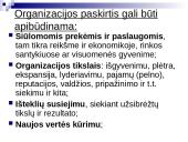Organizacijos paskirtis ir strategija 6 puslapis