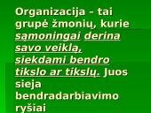 Organizacijos sėkmės komponentai 2 puslapis