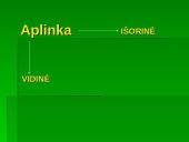Organizacijos sėkmės komponentai 11 puslapis
