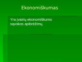 Organizacijos sėkmės komponentai 19 puslapis