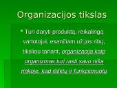 Organizacijos sėkmės komponentai 3 puslapis