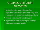 Organizacijos sėkmės komponentai 4 puslapis