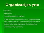 Organizacijos sėkmės komponentai 5 puslapis