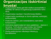 Organizacijos sėkmės komponentai 6 puslapis
