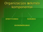 Organizacijos sėkmės komponentai 7 puslapis
