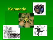 Organizacijos sėkmės komponentai 10 puslapis