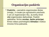Organizacijos, vadovai, vadovavimas 11 puslapis