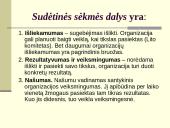 Organizacijos, vadovai, vadovavimas 12 puslapis