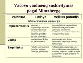 Organizacijos, vadovai, vadovavimas 13 puslapis