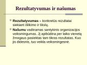 Organizacijos, vadovai, vadovavimas 17 puslapis