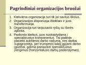 Organizacijos, vadovai, vadovavimas 9 puslapis