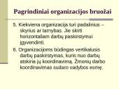 Organizacijos, vadovai, vadovavimas 10 puslapis