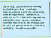 Organizacijų vystymas ir strateginis valdymas 2 puslapis