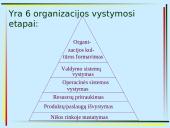 Organizacijų vystymas ir strateginis valdymas 3 puslapis