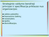 Organizacijų vystymas ir strateginis valdymas 6 puslapis