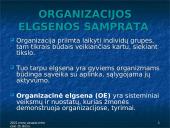 Organizacijos elgsenos samprata  2 puslapis