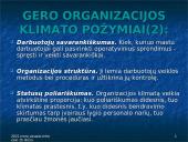 Organizacijos elgsenos samprata  11 puslapis