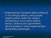 Organizacijos elgsenos samprata  12 puslapis