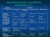 Organizacijos elgsenos samprata  15 puslapis