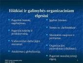 Organizacijos elgsenos samprata  17 puslapis