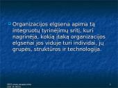 Organizacijos elgsenos samprata  3 puslapis